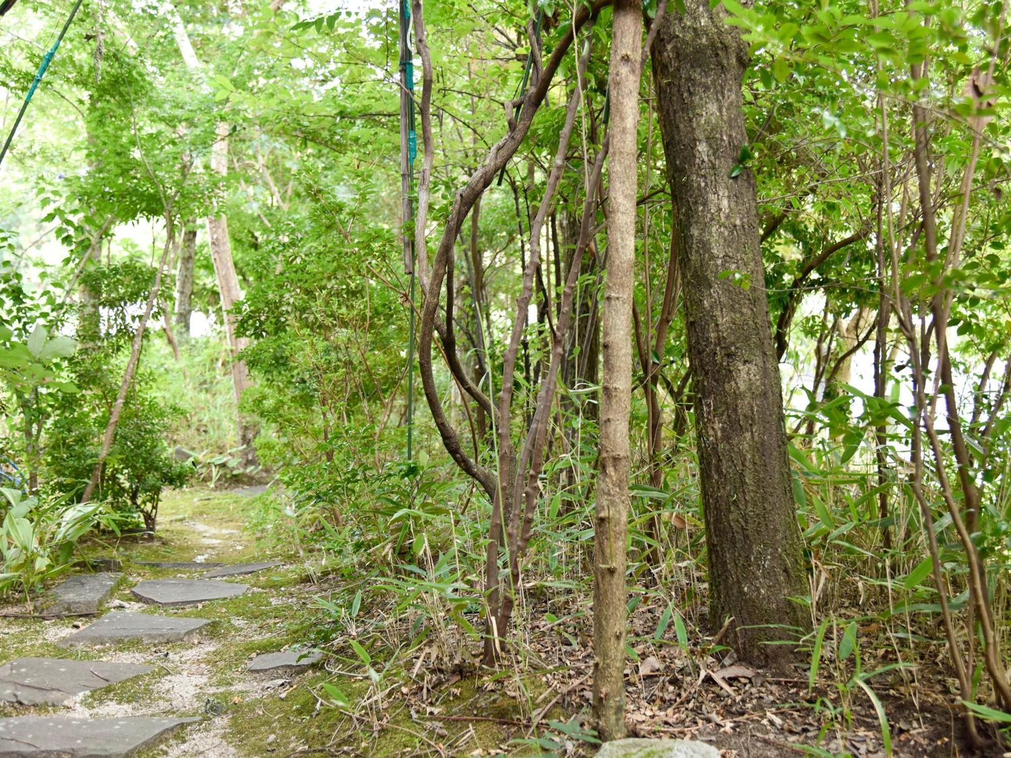 Hotel Oyado Yumechidori Saga Exterior foto